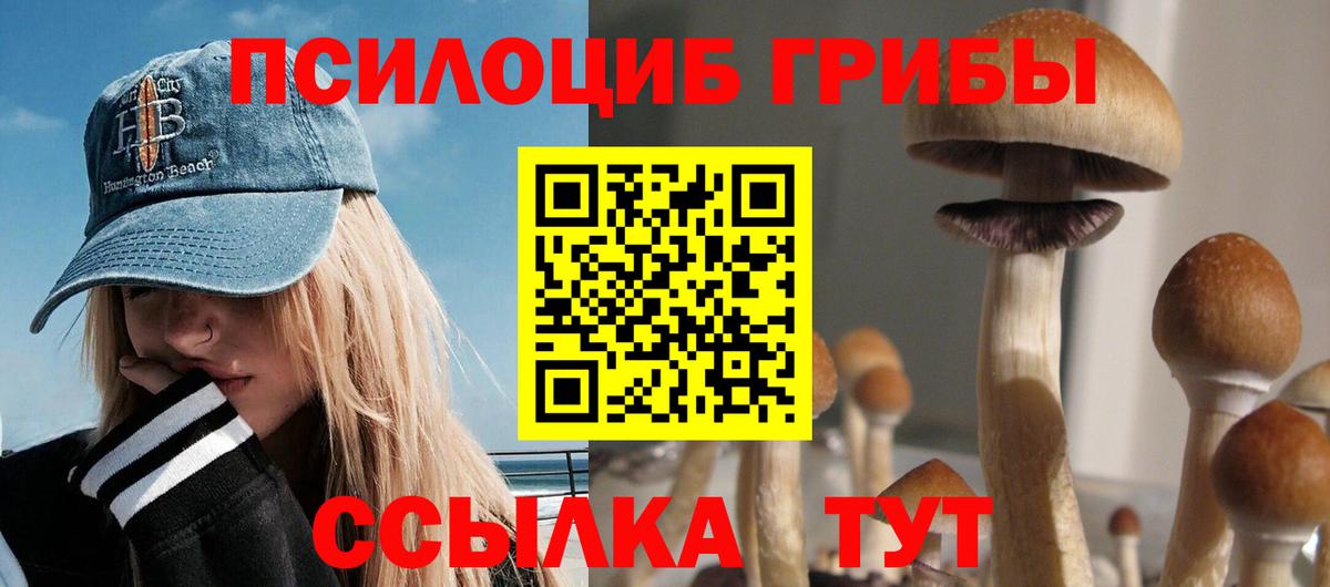 Рубцовск  купить закладку  Вход с VPN  Псилоцибиновые грибы Cubensis 